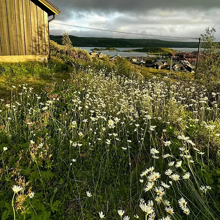 Mountain Overlooking Ustevatn At Ustaoset